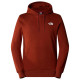 The North Face Ανδρικό φούτερ Season Graphic HD